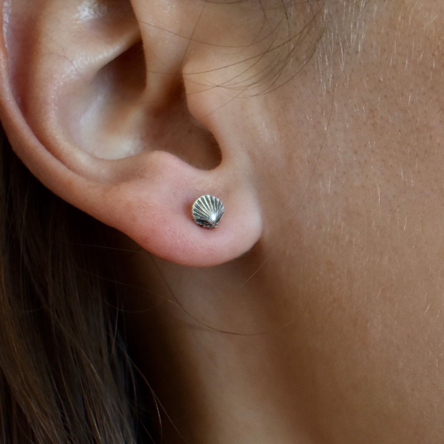 tiny shell stud earrings