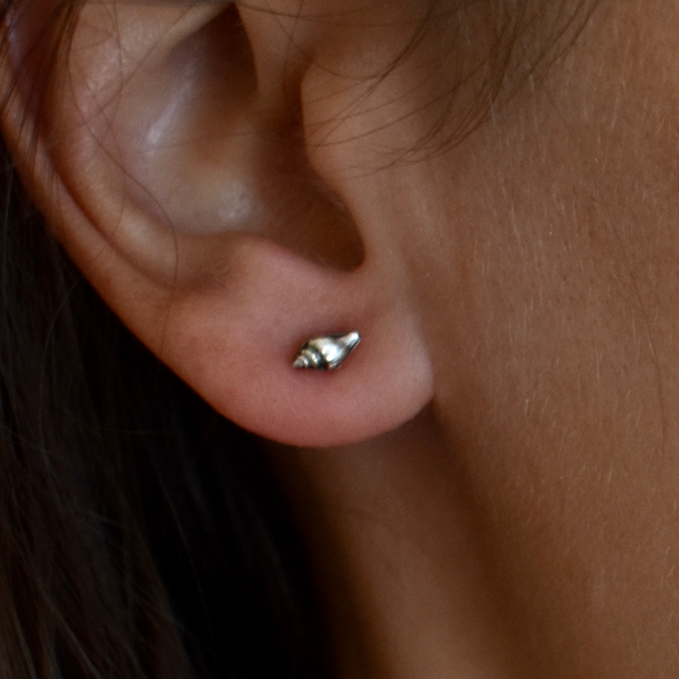 tiny shell stud earrings